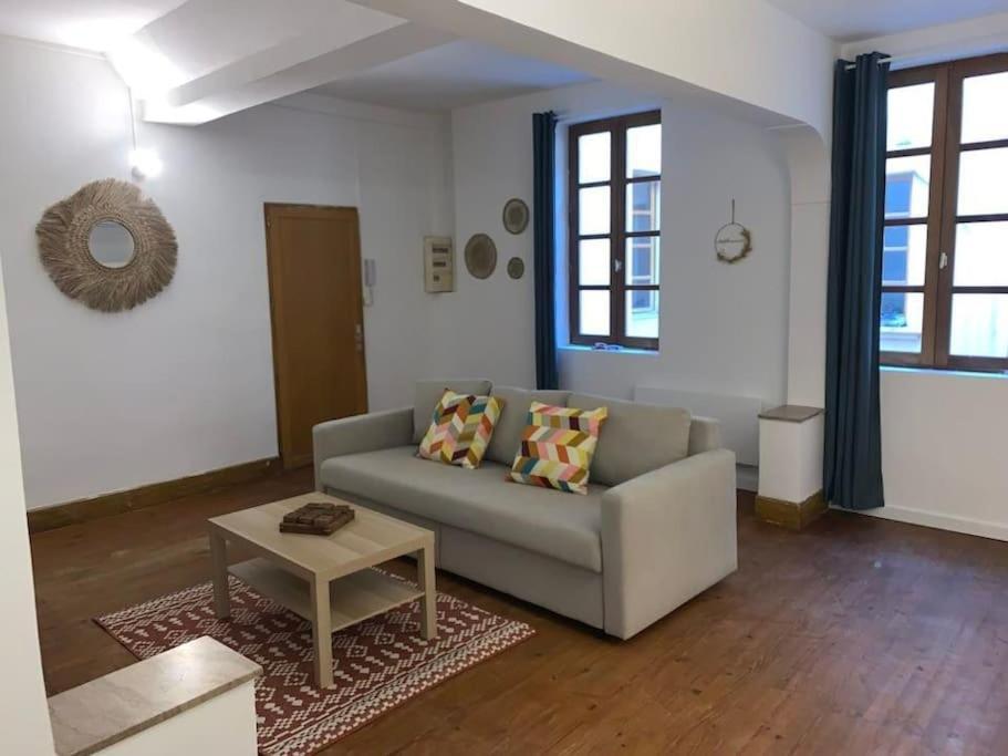 Apartment Spacieux T3 Hypercentre Proche Cathedrale Albi