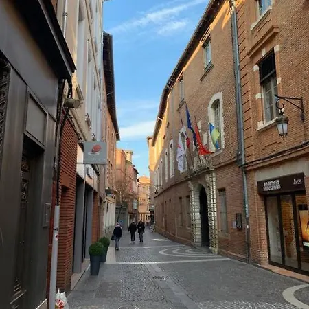 Spacieux T3 Hypercentre Proche Cathedrale Albi Exterior foto