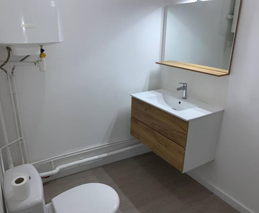 Spacieux T3 Hypercentre Proche Cathedrale Appartement Albi
